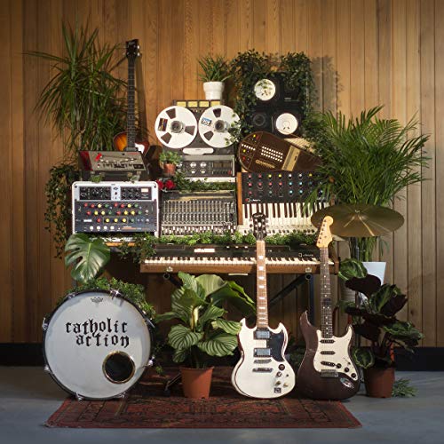 A collection of music equipment, including guitars and a drum, surrounded by plants.