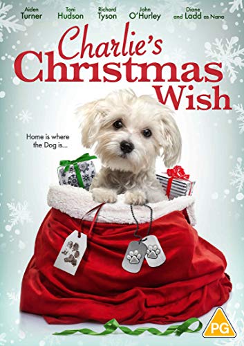 A small white dog sits inside a red Santa sack with Christmas gifts.