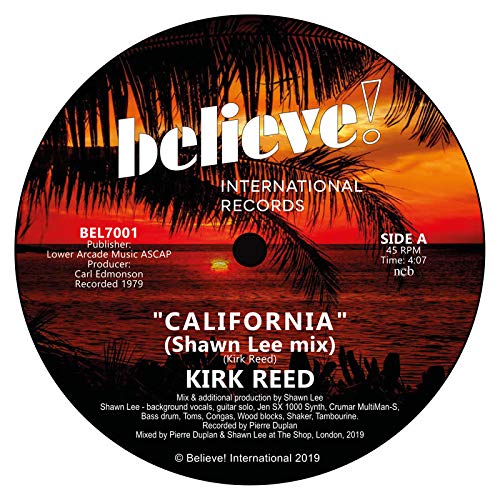 Vinyl record label with a sunset and palm tree design, “California” text.