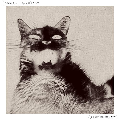 Black and white album cover featuring a cat holding a lightbulb.