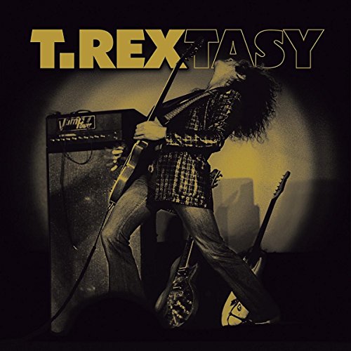 Marc Bolan playing electric guitar on stage with the text T.REX TASY above him.