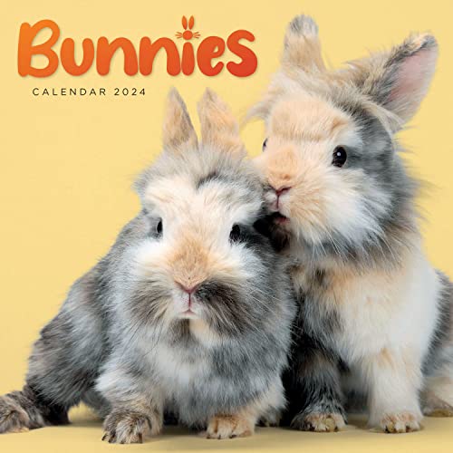 Bunnies 2024 Calendar