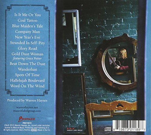 Album cover with a man playing guitar, titled "Warren Haynes - Ashes & Dust".