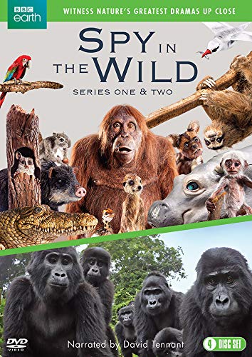 DVD cover featuring orangutan, parrots, and other diverse wildlife.