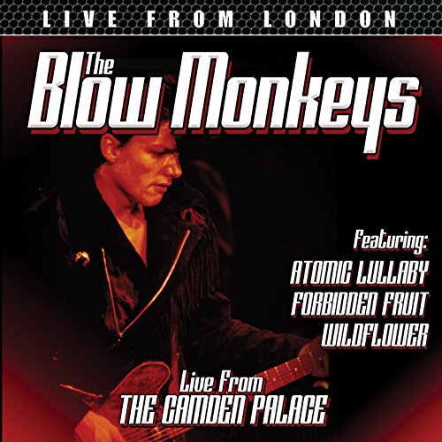 DVD cover featuring a man playing guitar, with red and black background.