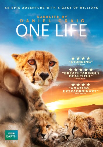 "One Life DVD cover featuring a lioness and cubs against a sunset savannah background."