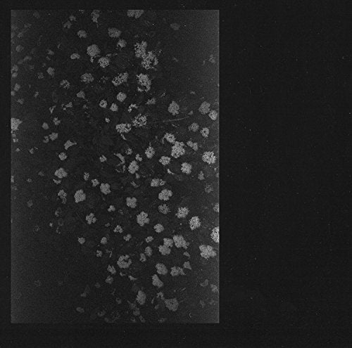 Black and white abstract album cover with speckled texture.