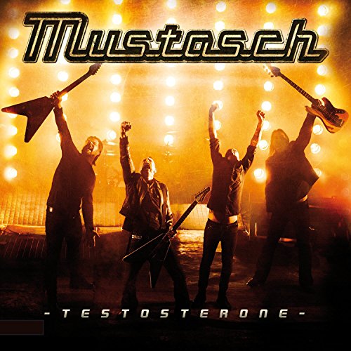 Album cover featuring four silhouetted men holding guitars, arms raised, under bright stage lights.
