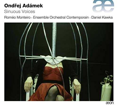"CD cover featuring a woman in a red dress surrounded by metal arches."