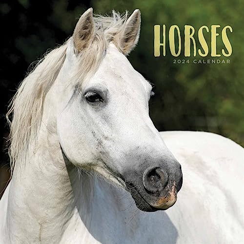 Horses Wall Calendar 2024