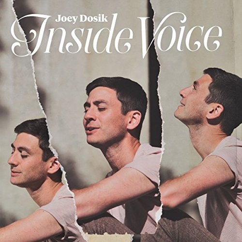 Album cover for Joey Dosik’s “Inside Voice” featuring a fragmented portrait.