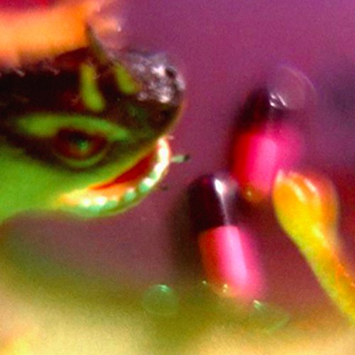 Close-up of colorful fish in water, blurry and abstract.
