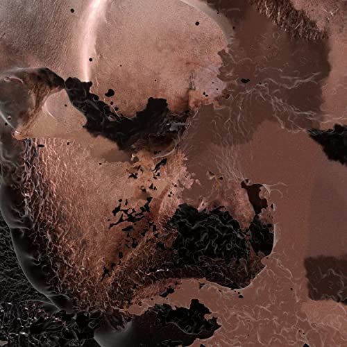 Abstract swirling brown and beige tones on vinyl record cover.