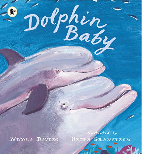 Dolphin Baby: 1