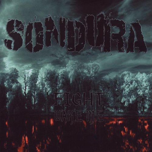 CD cover for Sondura’s “Fight / Wake Me” with dark, stormy landscape.