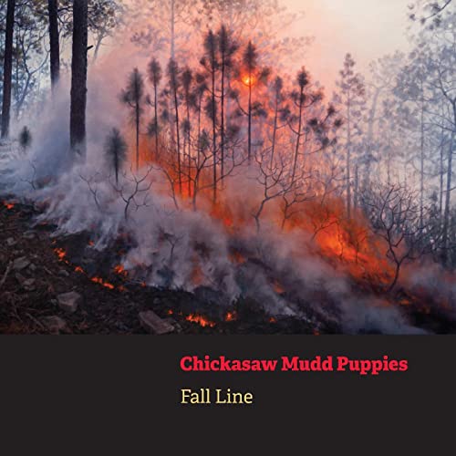 Forest fire with smoke and flames, album cover for Chickasaw Mudd Puppies.