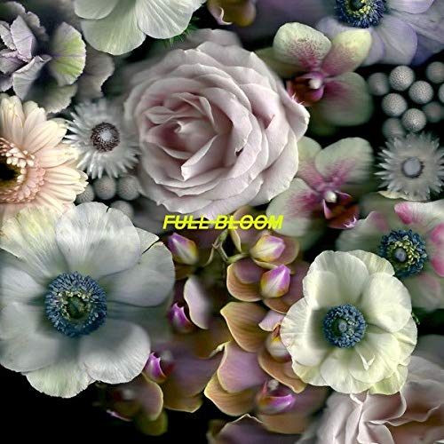 "Album cover with 'Full Bloom' text surrounded by pastel-colored flowers against a dark background."