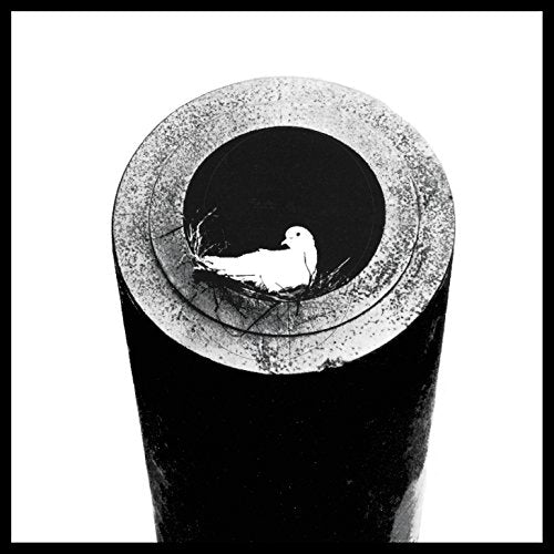Black and white album cover featuring a dove inside a dark pipe.