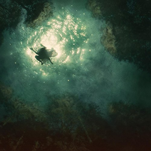 Silhouetted figure with a horse, viewed from below in bright water.