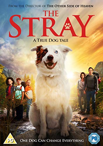 DVD cover featuring a large white dog and a family in a mountainous landscape.