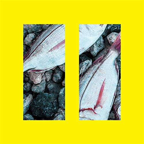 "CD cover with two images of fish on rocks against a yellow background."