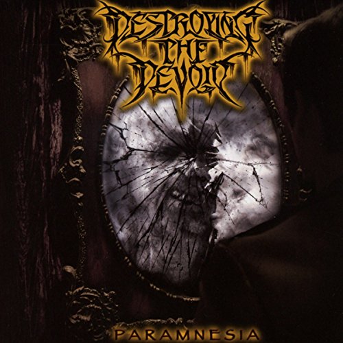 "Album cover with man looking at a broken mirror, 'Destroying the Devoid' and 'Paramnesia' text."
