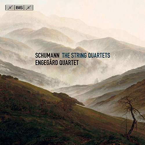 CD cover art featuring a misty mountain landscape with text overlay.