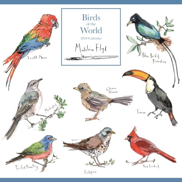 Madeleine Floyd Birds Of The World Wall Calendar 2024