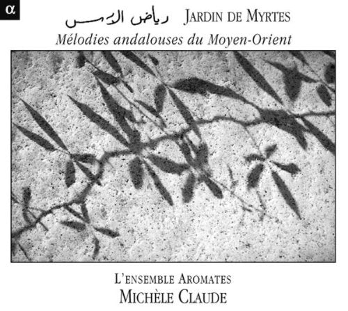 "CD cover with black and white image of leaves' shadows on a stone surface."
