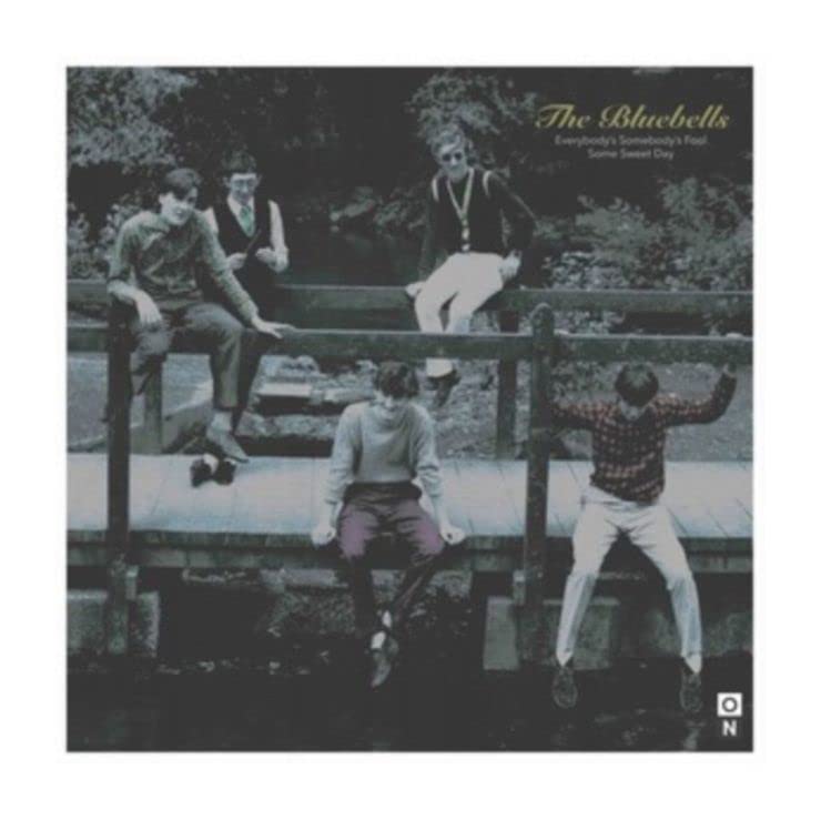 The Bluebells' "Everybody's Somebody's Fool" 7" vinyl record cover with band photo.