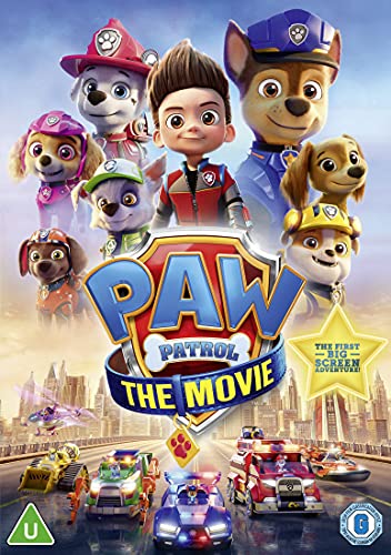 Paw Patrol characters and a boy stand before a city backdrop.