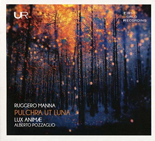 A CD album cover with a forest scene and white border.