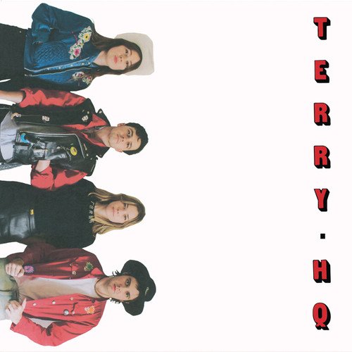 "Terry HQ vinyl album cover featuring four band members in colorful outfits against a white background."