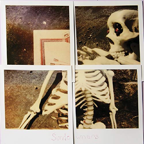 Vinyl record cover with four Polaroid-style images of skulls and bones.