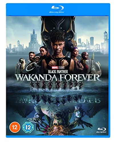Blu-ray cover art for Black Panther: Wakanda Forever featuring the film's cast and city.