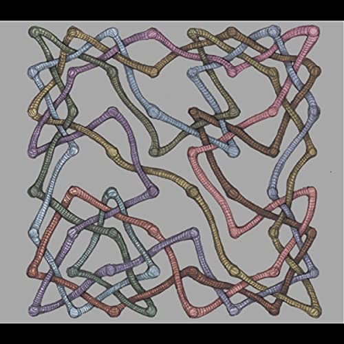 Abstract illustration of interwoven, colorful lines on a gray background.