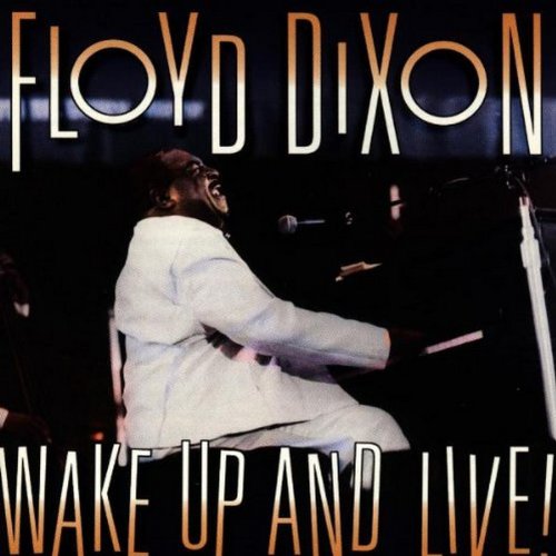"CD cover featuring Floyd Dixon playing piano, wearing white, with title text."
