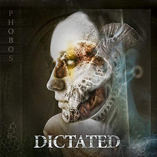 Vinyl album cover: distorted face profile with cracked, peeling skin.