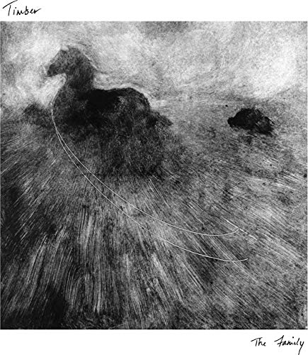 Black and white sketch of horse running in field on vinyl album cover.