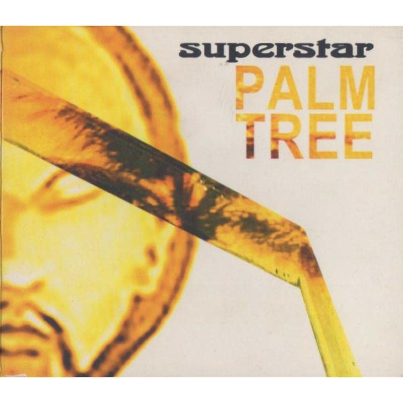 Vinyl record cover with a golden palm frond and text "superstar PALM TREE".