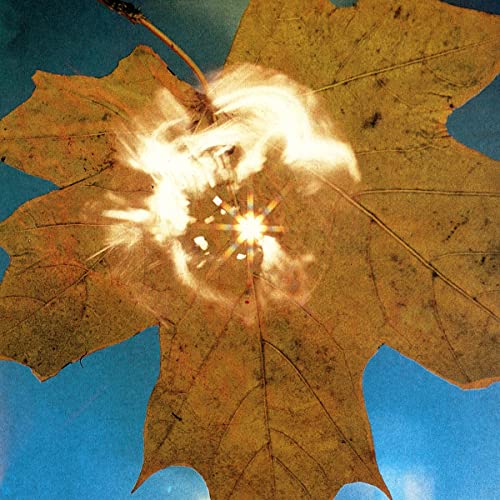 CD cover art: maple leaf with bright light shining through center.