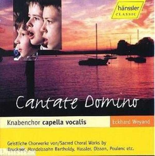 CD cover for “Cantate Domino” featuring singers and a coastal scene.