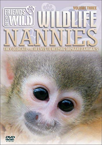 DVD cover featuring a close-up of a young monkey's face with large eyes.