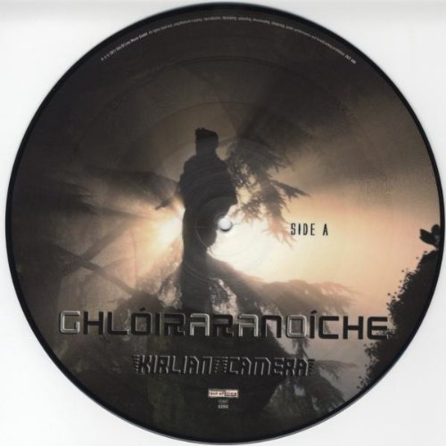 Black vinyl record with a silhouetted figure under a glowing, hazy sky.