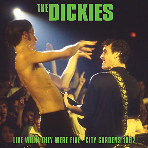 Vinyl album cover featuring a shirtless man and a guitarist performing on stage.
