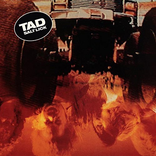 "Tad - Salt Lick" CD cover with fiery, distorted image and black logo.
