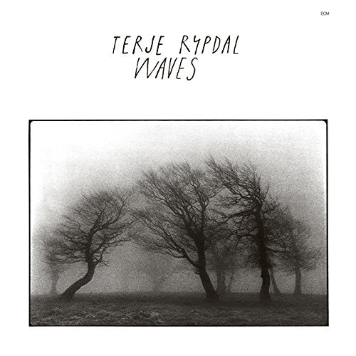 "Album cover with black and white image of bare trees in foggy landscape."