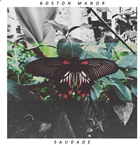Album cover featuring a black butterfly with red and white markings on dark leaves.