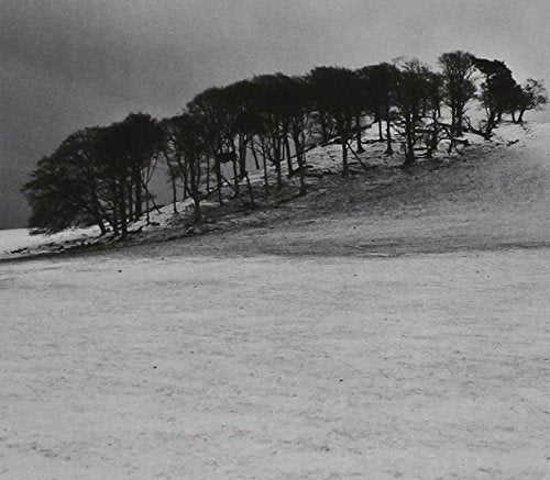 Black and white landscape photograph of trees on a snowy hillside.