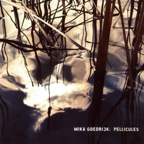CD cover for "Pellicules" with abstract image of branches and light.